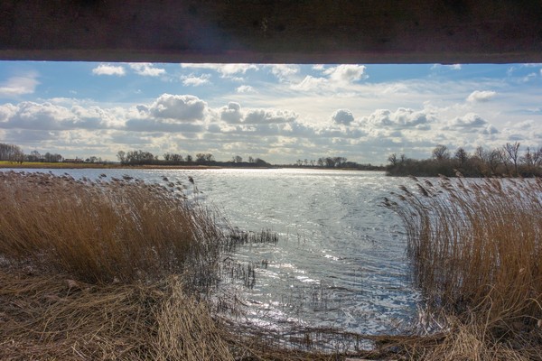 natuurgebied de blankaart diksmuide