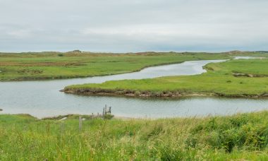 natuurgebied zwin belgie