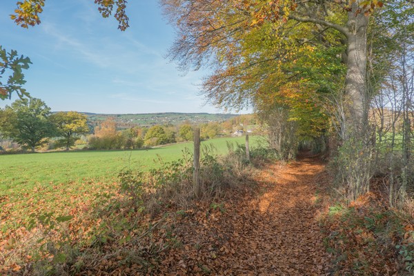 wandelen malmedy wandelroute hoge venen