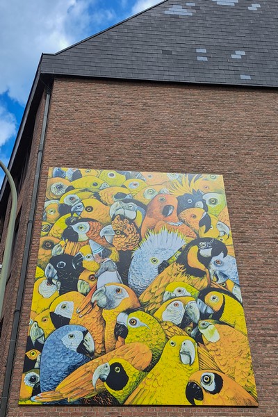 street art wandeling hasselt stadswandeling limburg
