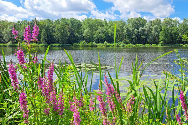 Breeven Bornem wandelen
